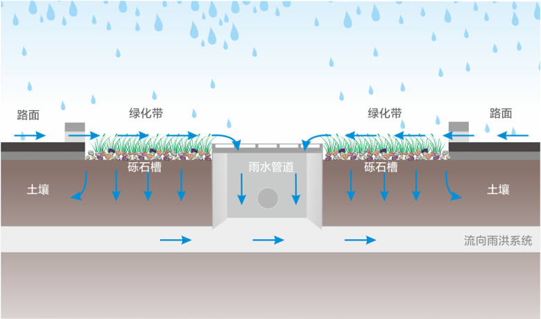 雨水