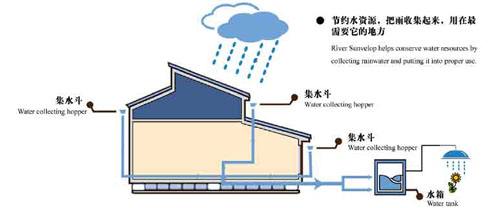 雨水收集